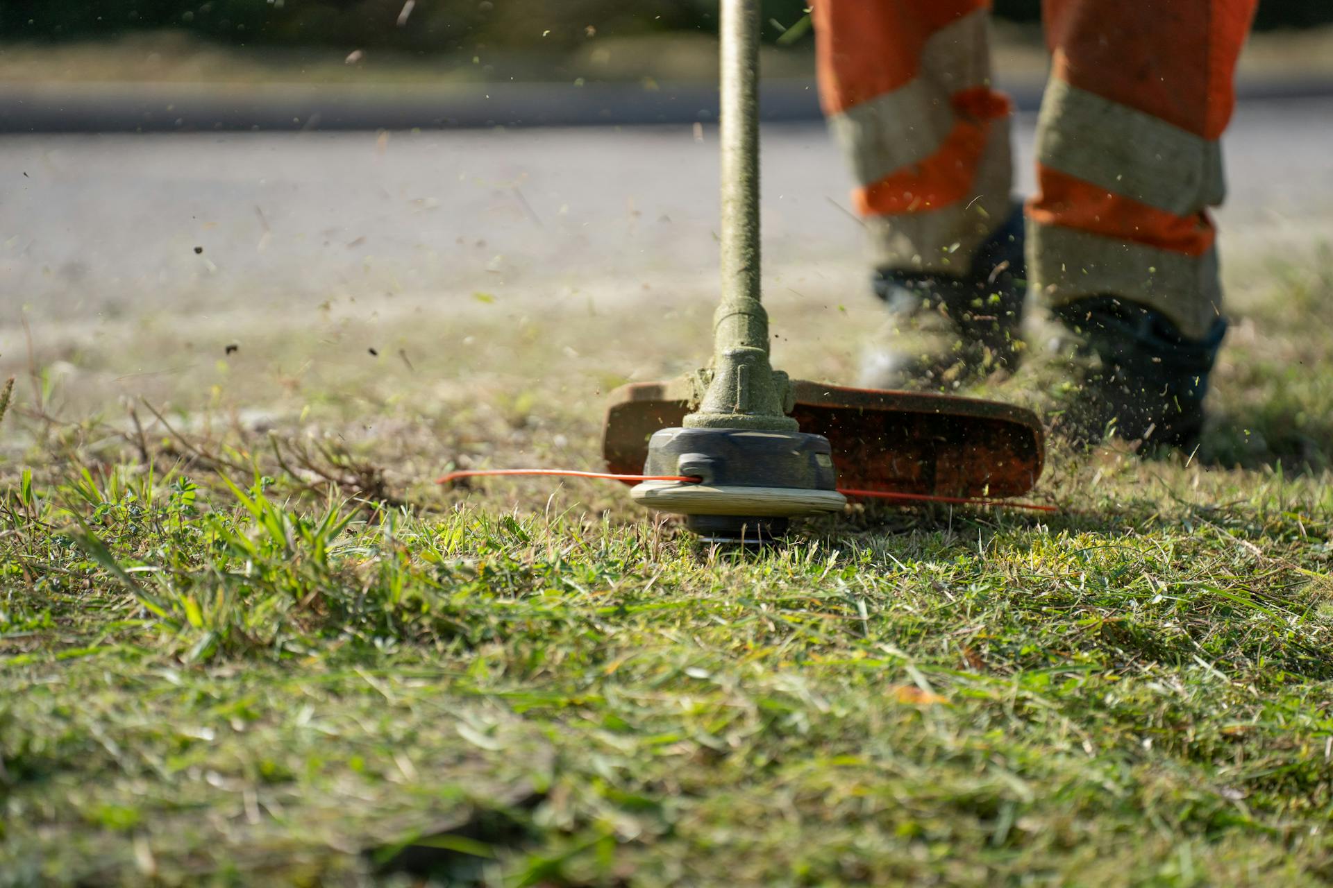 Gartenbaufirma Dienstleistungen, Arbeitsweise und Kosten im Überblick