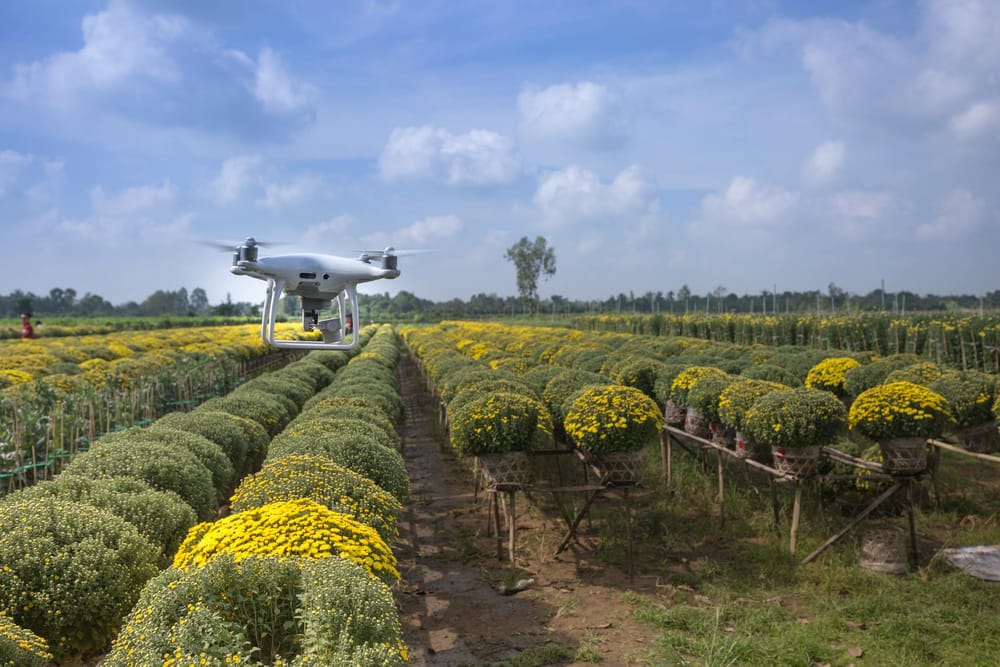 Künstliche Intelligenz in der Landwirtschaft: Effizientere Erträge und nachhaltige Innovationen Beitragsbild